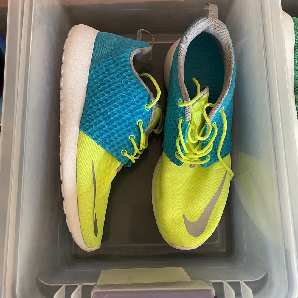 Roshes Electric Blue/Neon